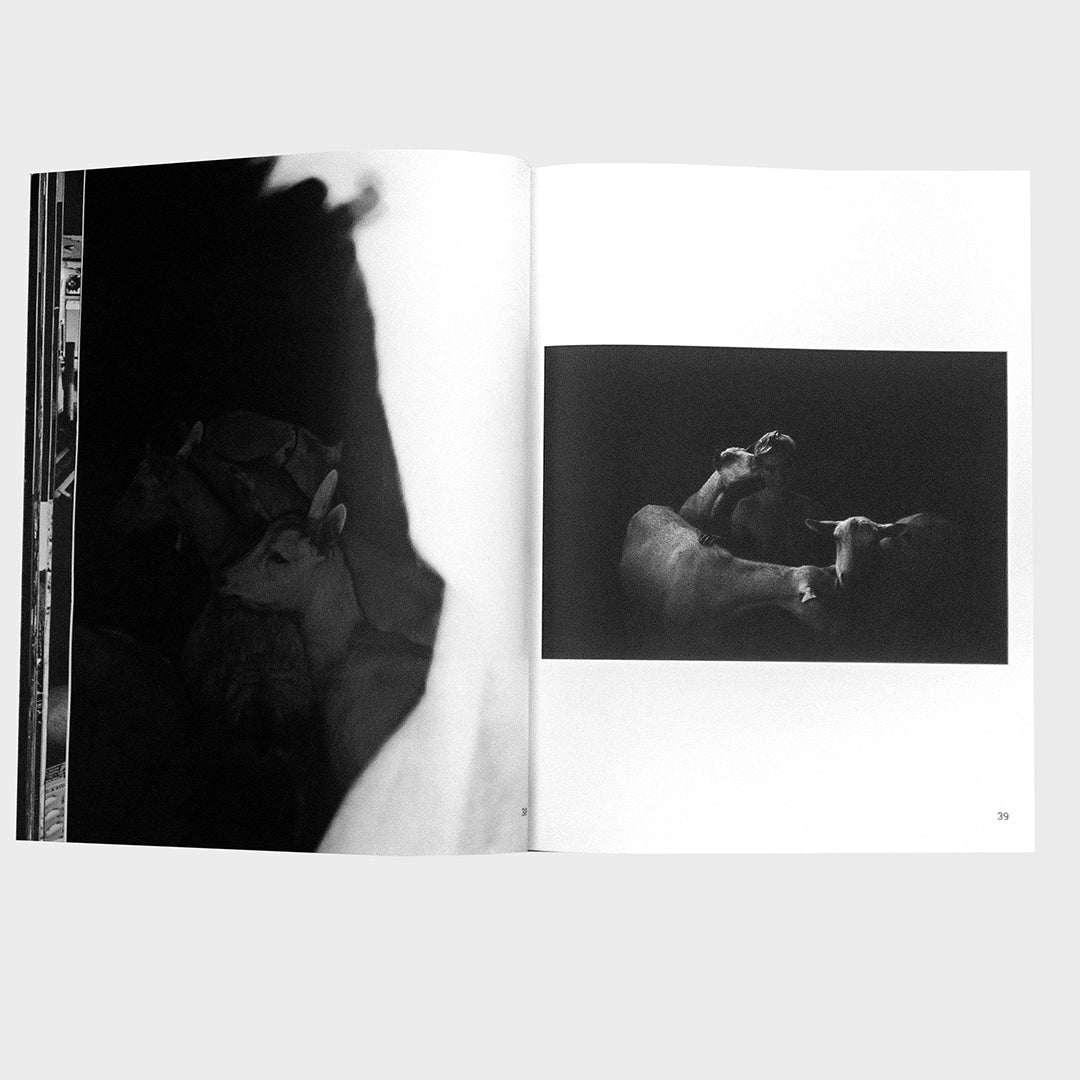 Hamburger Eyes No. 57